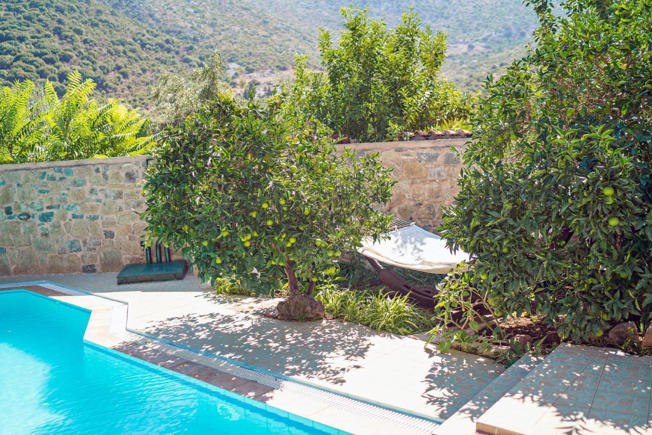 Villa Aleva Bali  Dış mekan fotoğraf